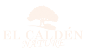 Logo El Calden